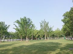 -尚贤河湿地