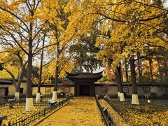 -郑和公园