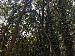 -上海市保健医疗中心(华东疗养院)