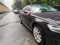-蚂蚁婚车