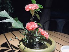 -天怡·鱼工厂(梅溪湖店)