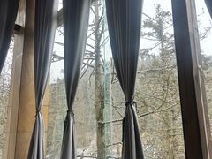 -武陵山森林公园