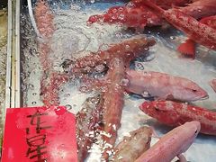 -湛江渔港·大排档(乐园路总店)