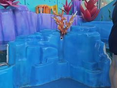 -海合安成都极地海洋公园