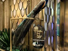 -雀蓝川菜(星悦汇店)