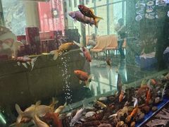 -寻味顺德·珍之宝酒楼(银钻店)