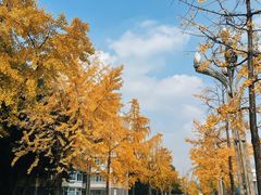 -四川大学(望江校区)
