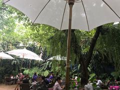 -Fern Forest Cafe