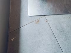 -蛙小侠(珠海华发商都店)