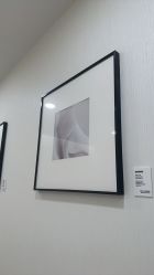 -智美品质医美
