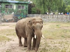 -西安秦岭野生动物园
