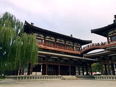 -西安青龙寺遗址景区