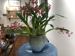 -宁波东港喜来登酒店
