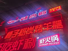 -柿子树炭烤羊腿(金台路店)