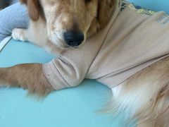 -怪兽屋·羊驼·猫咖·狗咖(俊华广场店)