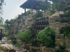 -东平国家森林公园