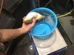 -顺德粥城·叹茶食粥(良化店)