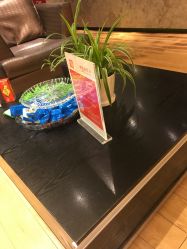 -京世沙龙