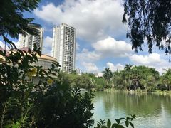 -金花茶公园