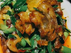 回锅肉-陈麻婆豆腐总店