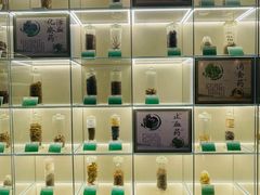 -广东中医药博物馆