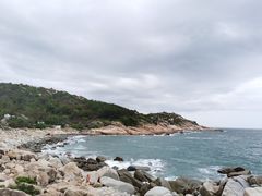 -广东惠东海龟国家级自然保护区