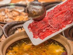 -邹开喜·炭炉鸡煲·海鲜火锅(虹口足球场店)