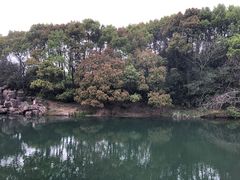 -白马涧龙池景区