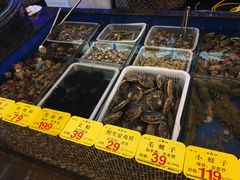 -天顺渔港·海景餐厅(星海广场店)