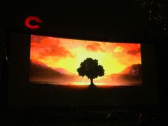 -枫花园汽车电影院(朝阳公园店)