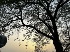 -云龙湖旅游景区