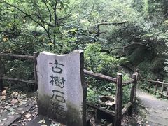 -黄葛古道