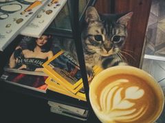 -隅cafe(傅厚岗店)