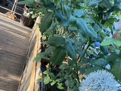 -德全心悦酒店(北京金台路地铁站店)