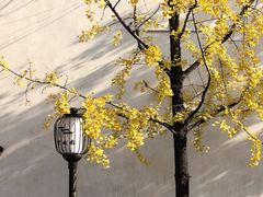 -老门东历史文化街区