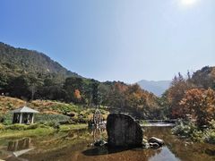 -广州市石门国家森林公园