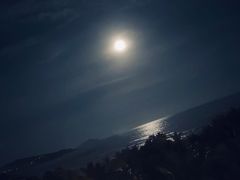 -麦雪尔甜品·生日蛋糕(新街口旗舰店)