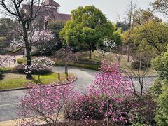 -南通鹏欣花园国宾酒店