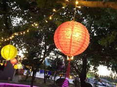 -枫花园汽车电影院(朝阳公园店)