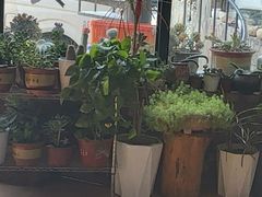 -遇见小院—虹鳟鱼•农家菜(怀柔店)