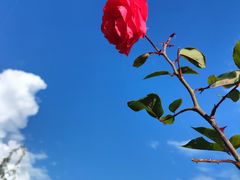 -丽江泸沽湖景区