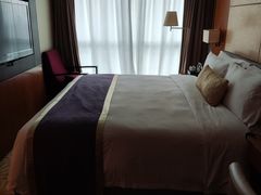 -深圳皇庭V酒店