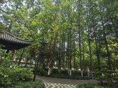 -瀛洲公园