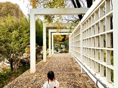 -河南省黄河迎宾馆