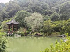 -云溪植物园