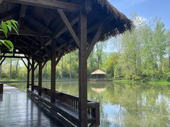 -溱湖国家湿地公园