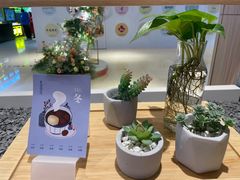 -炖物24章·顺时轻养茶(黄龙店)