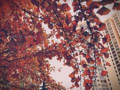 -苏州河梦清园环保主题公园