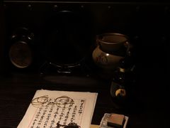 -武汉知音号