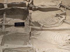 -洛阳周王城天子驾六博物馆